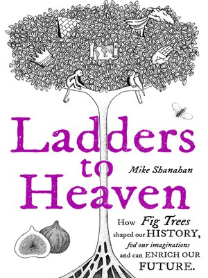 cover image of Ladders to Heaven